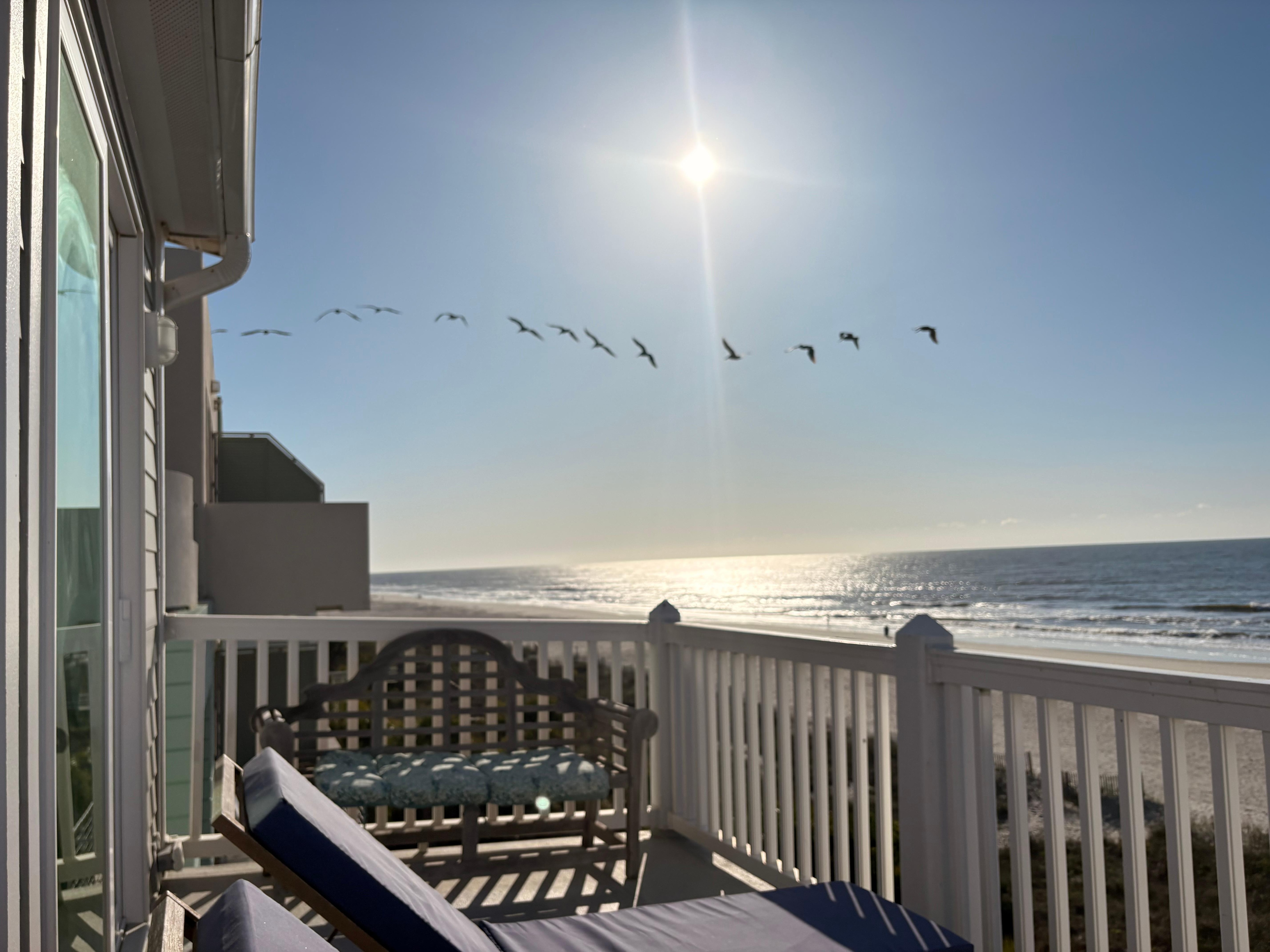 Sunrise and pelicans April 20, 2026