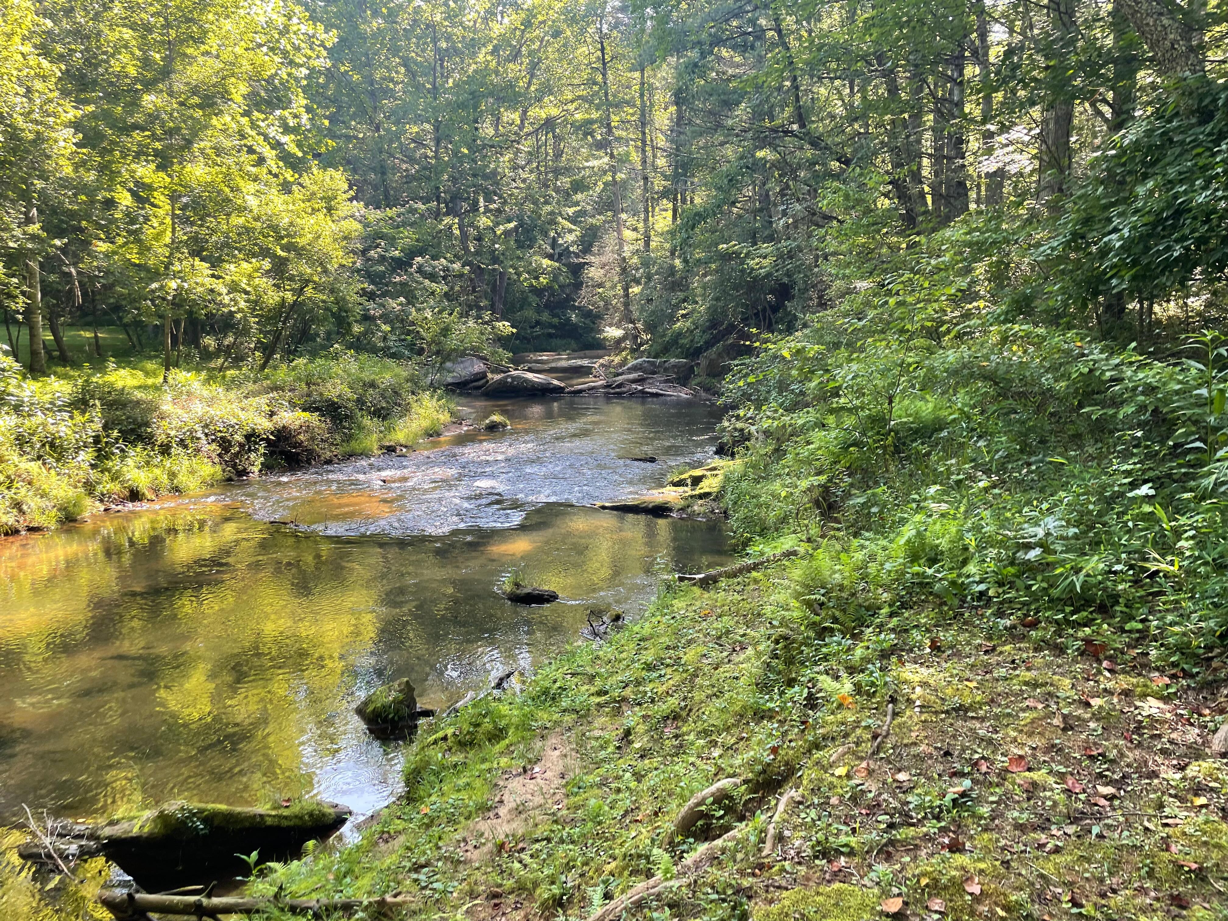 What a beautiful site on the property. 