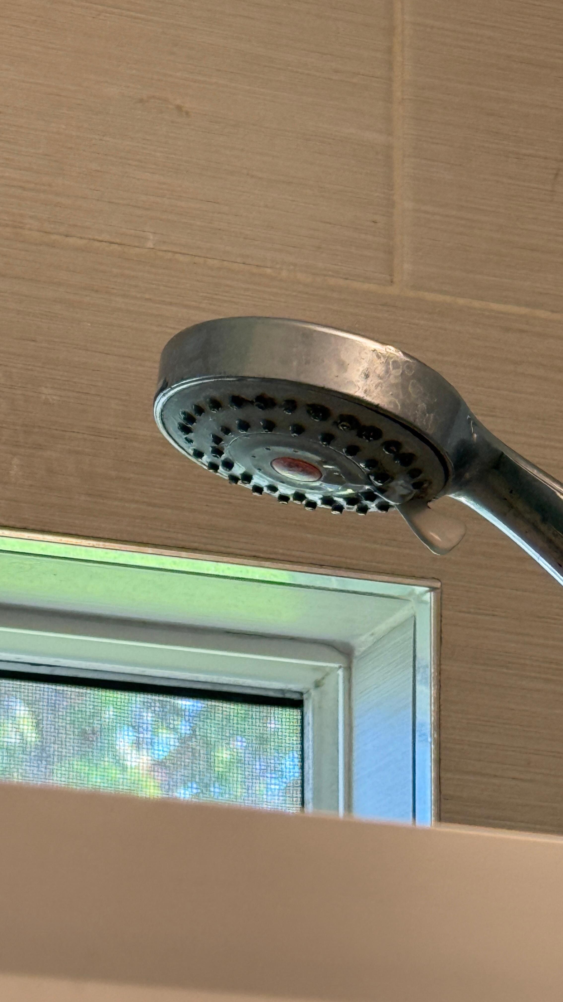 Shower head 