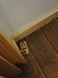 Visible mouse trap in another room closet