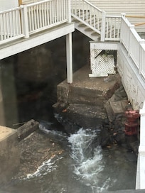 This was right outside our window!!