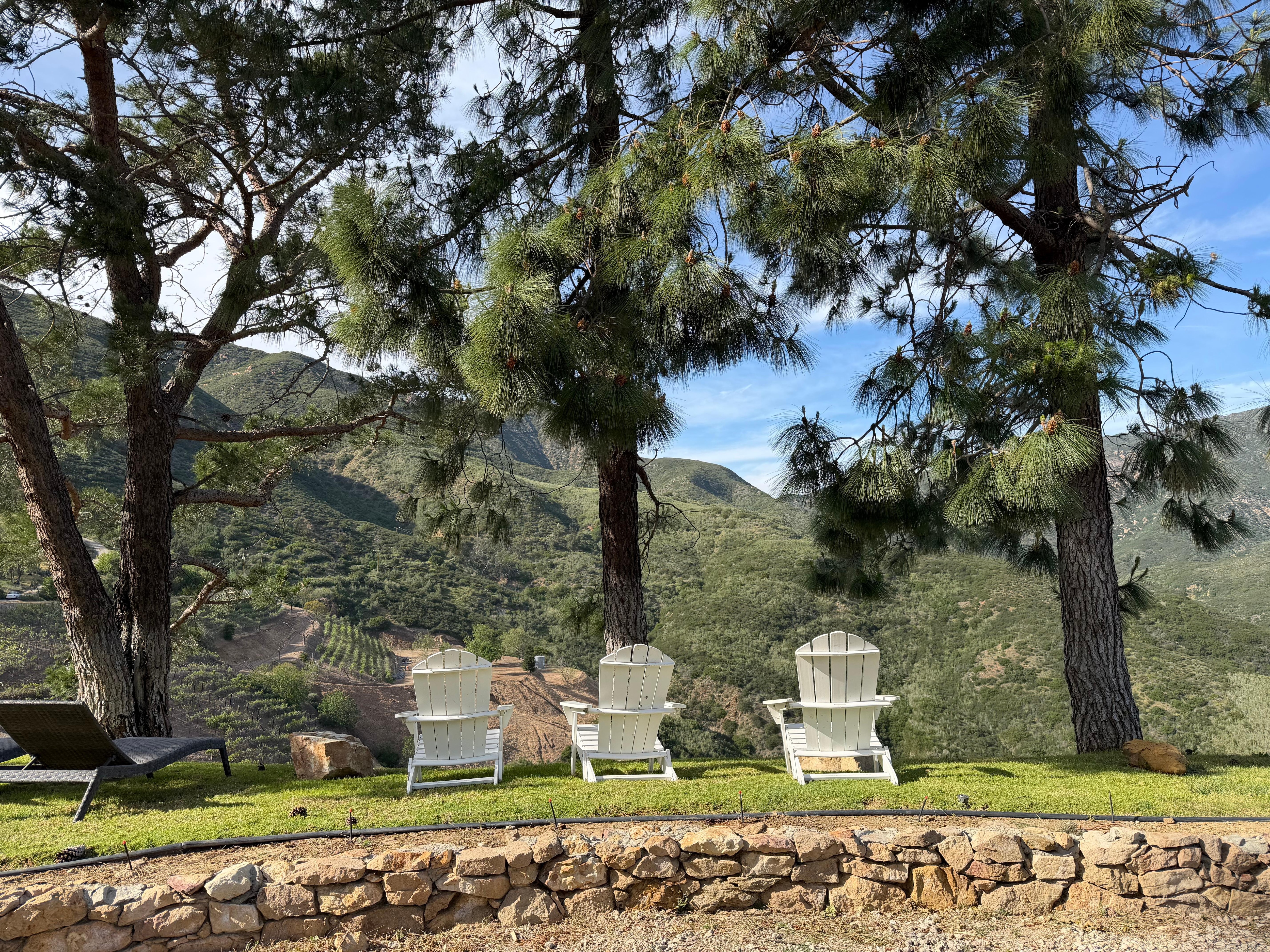 We sat for hours in these Adirondack chairs, admiring the birds and the views