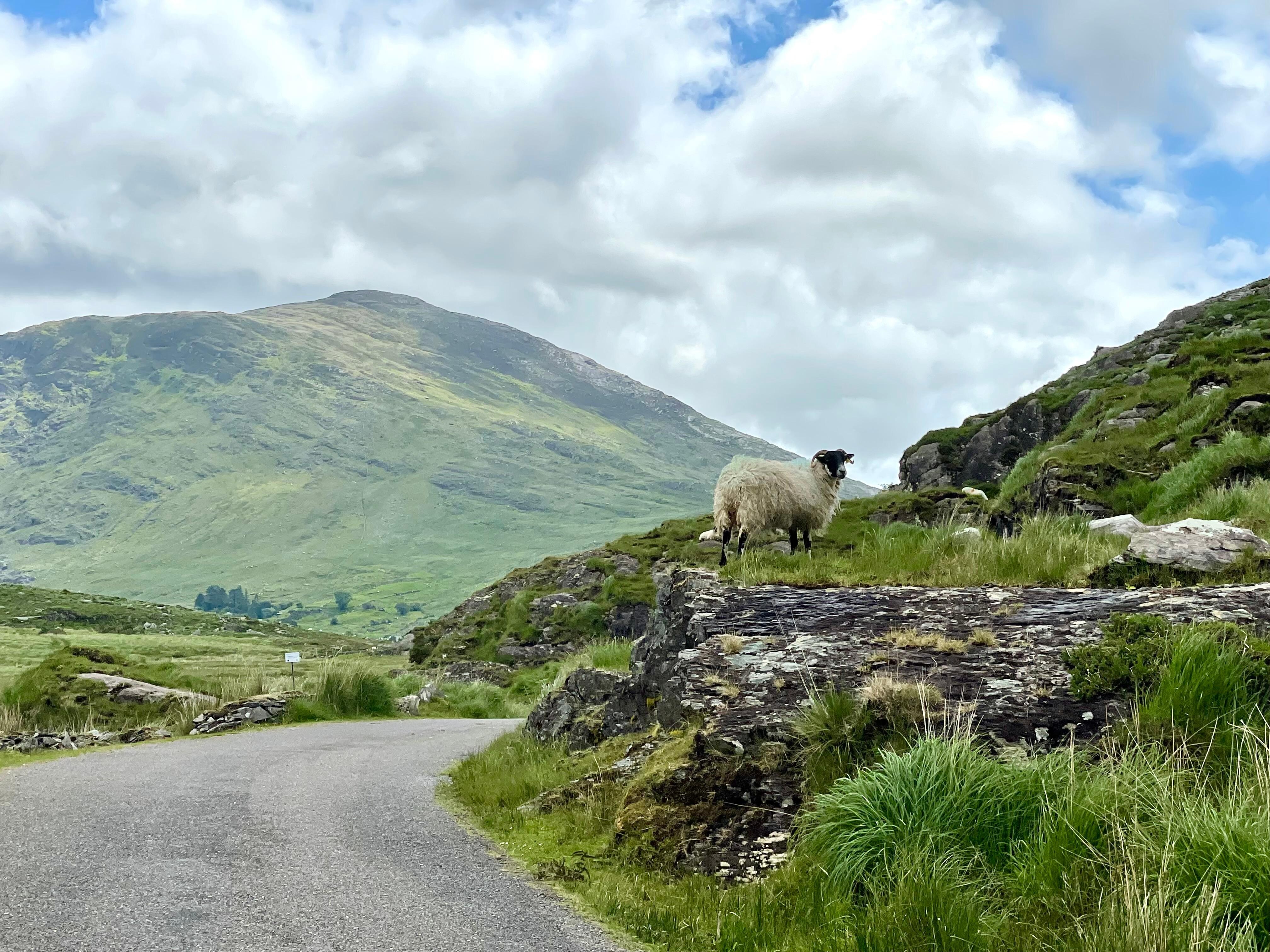 In the mountains nearby.