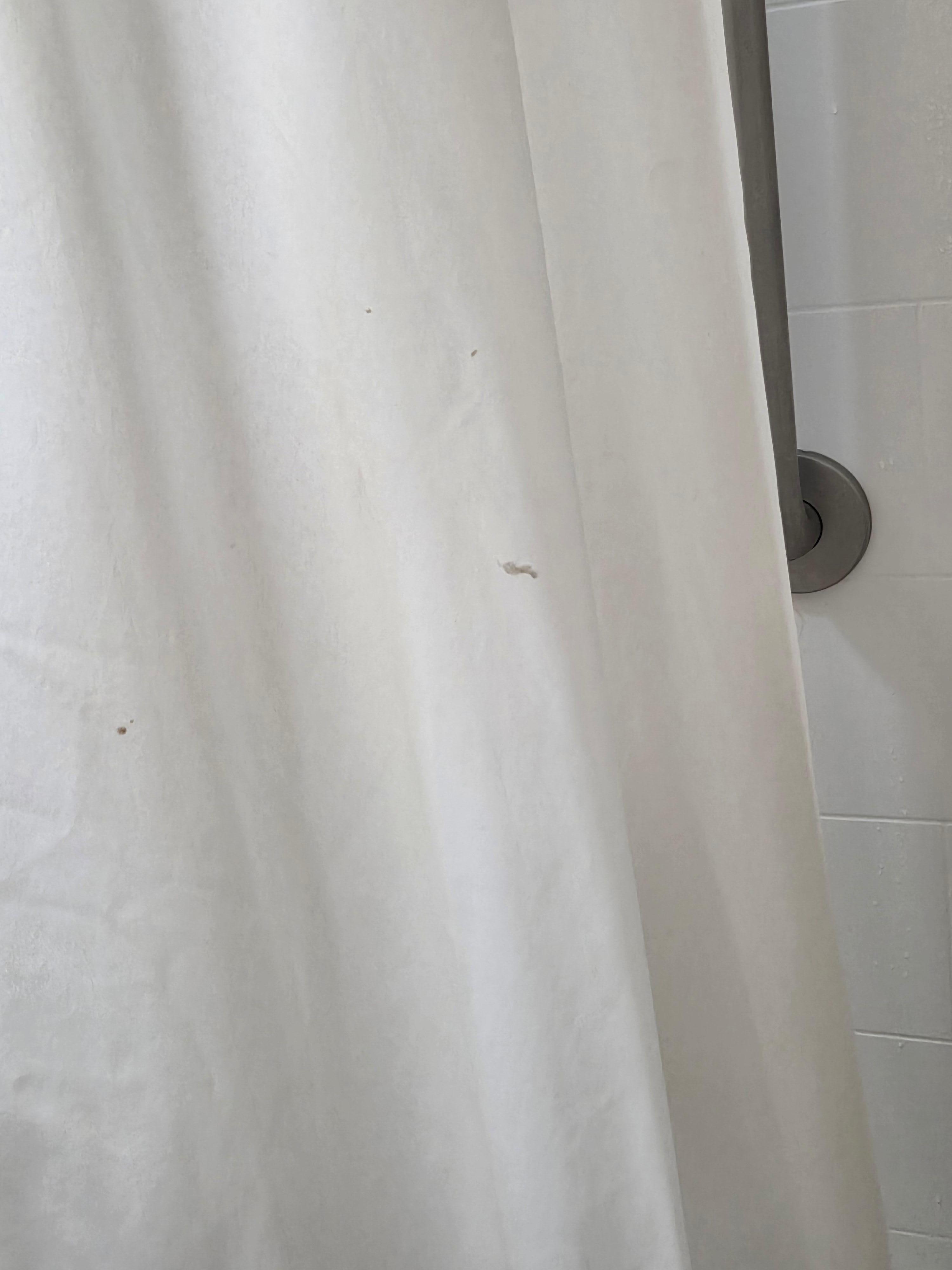 Boogers on shower curtain 