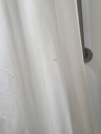 Boogers on shower curtain