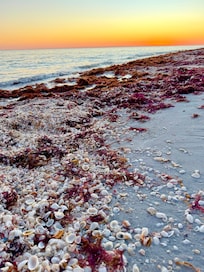 The beach immediately in front of the condo.