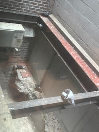 Right outside of our window on the first floor
