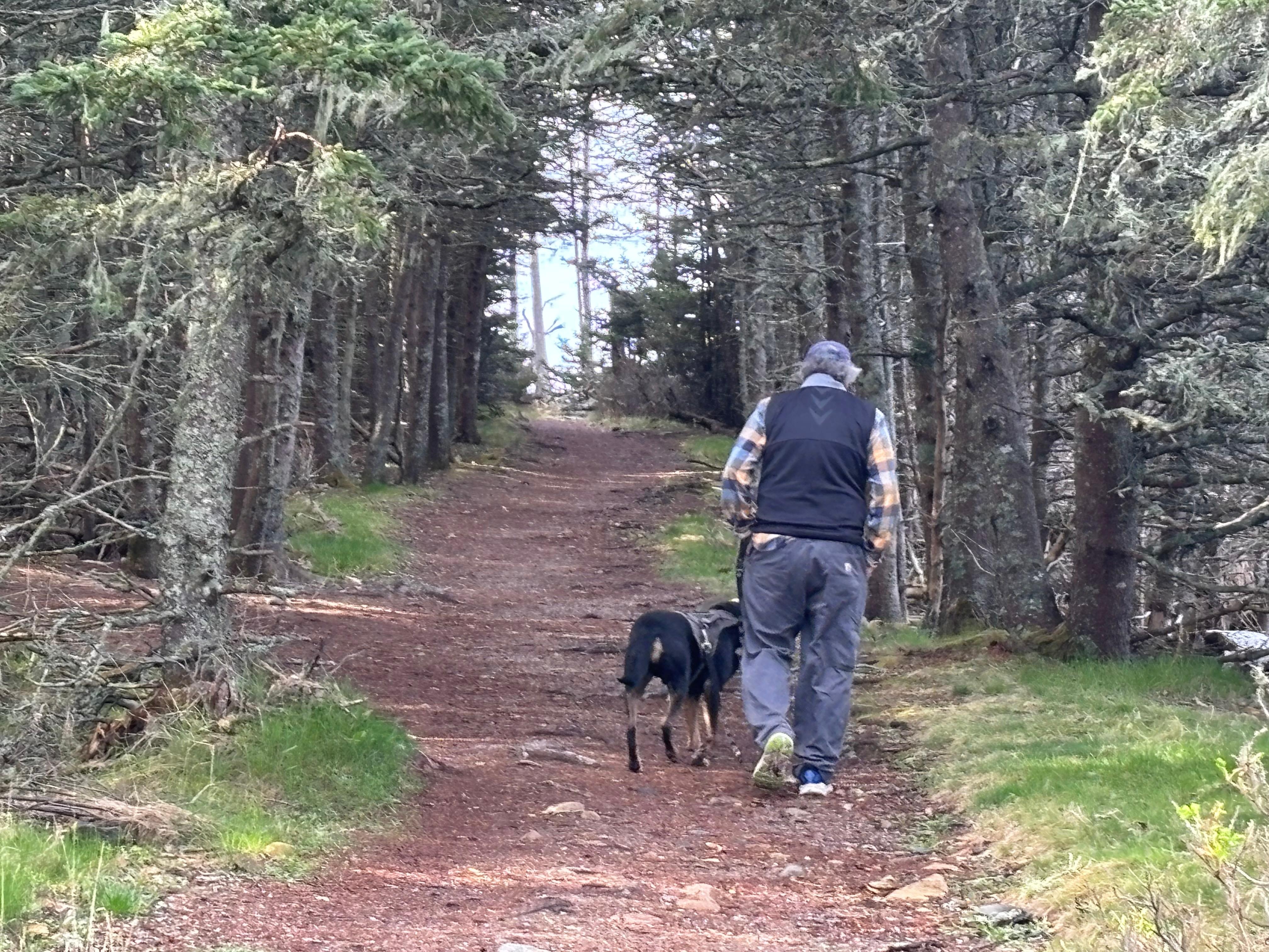 Walking the dogs at Eagle Lake