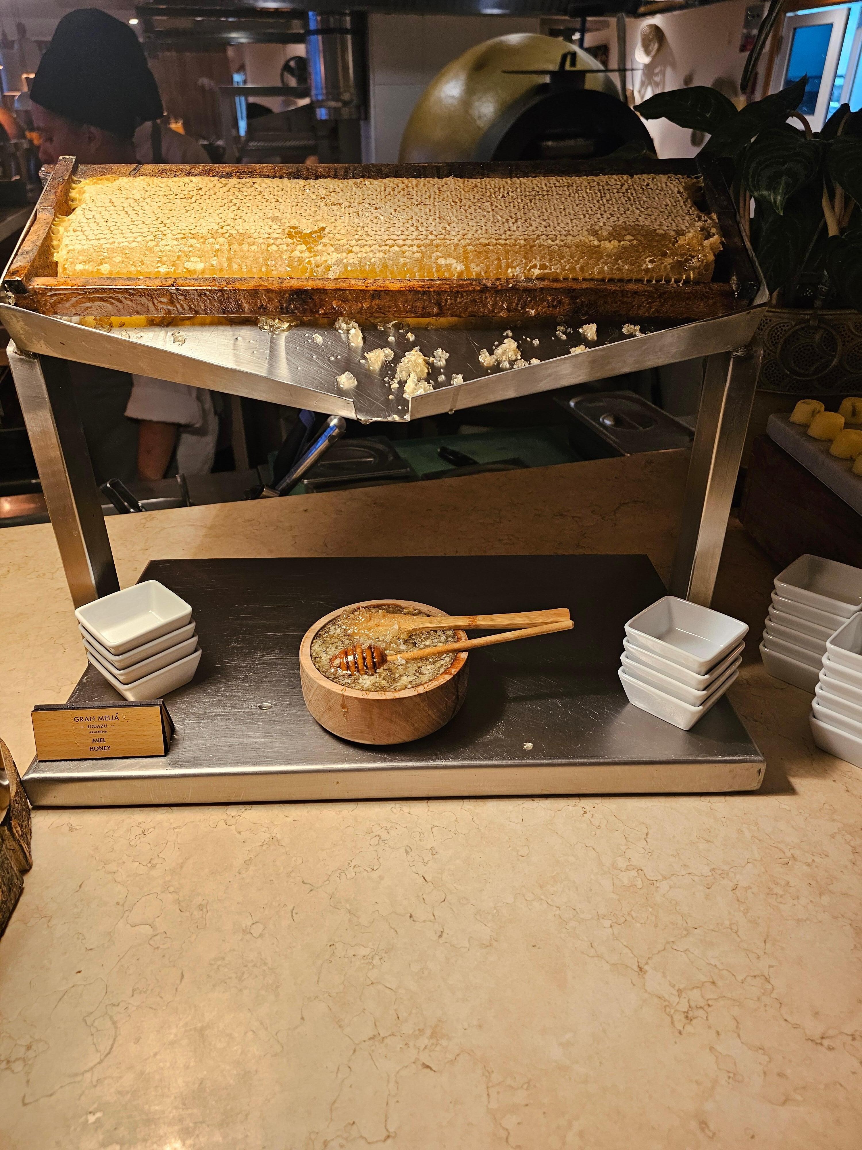 The amazing breakfast buffet had natural honey, fresh juices, waffles that rivaled Belgium's, omlettes to order, and much more!  This buffet was one of the best in the world. One morning they had live violin music that added to the experience. 
