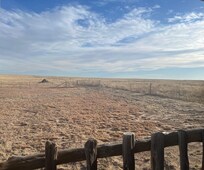 The view from the porch. The National Grasslands are on the right. There's a windmill in the distance.
