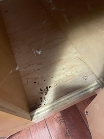 Bugs and filth cupboards