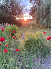 Sunset on our final day