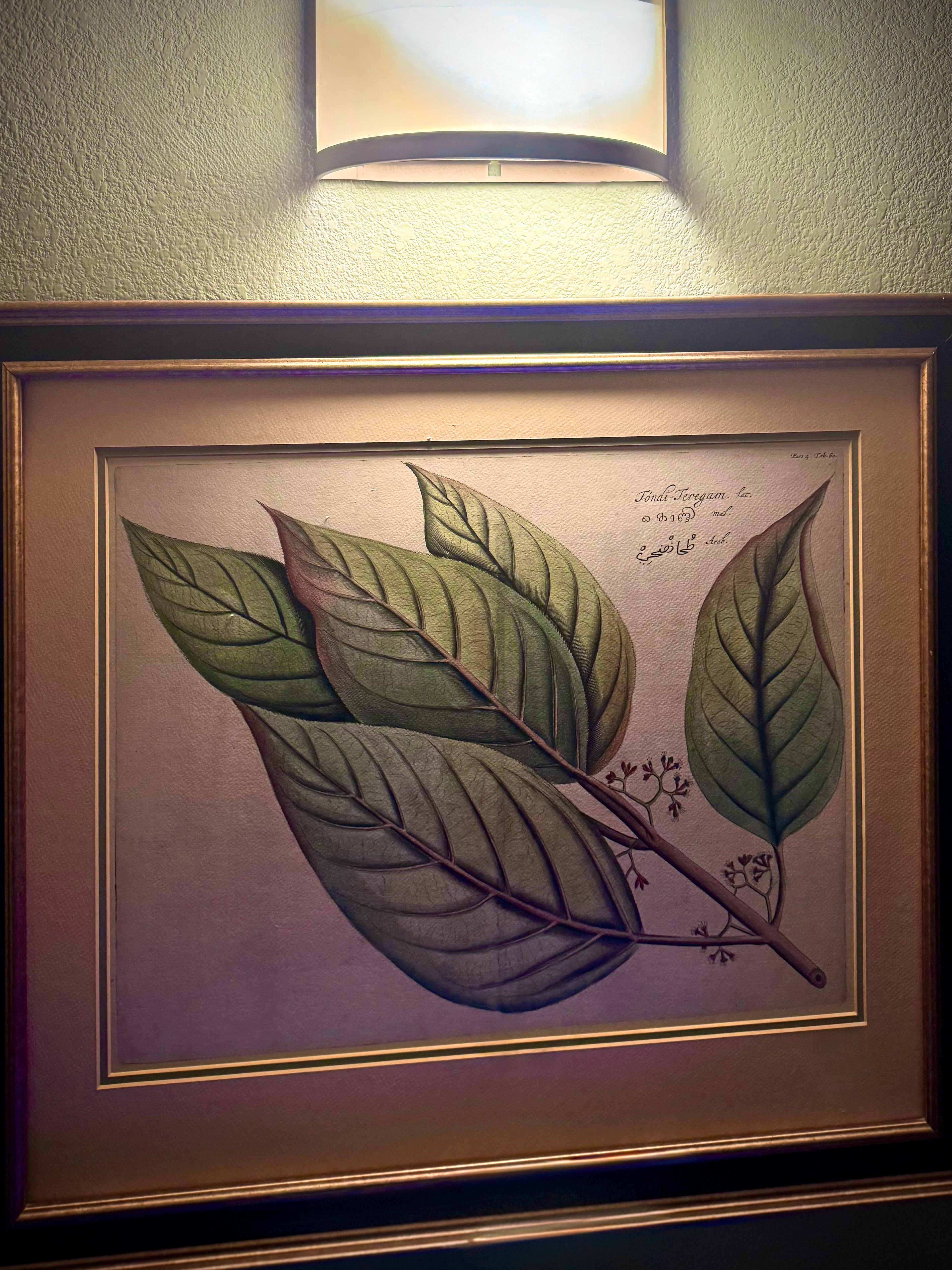 Picture on the wall in the room 