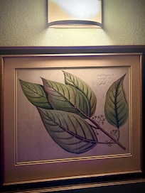 Picture on the wall in the room