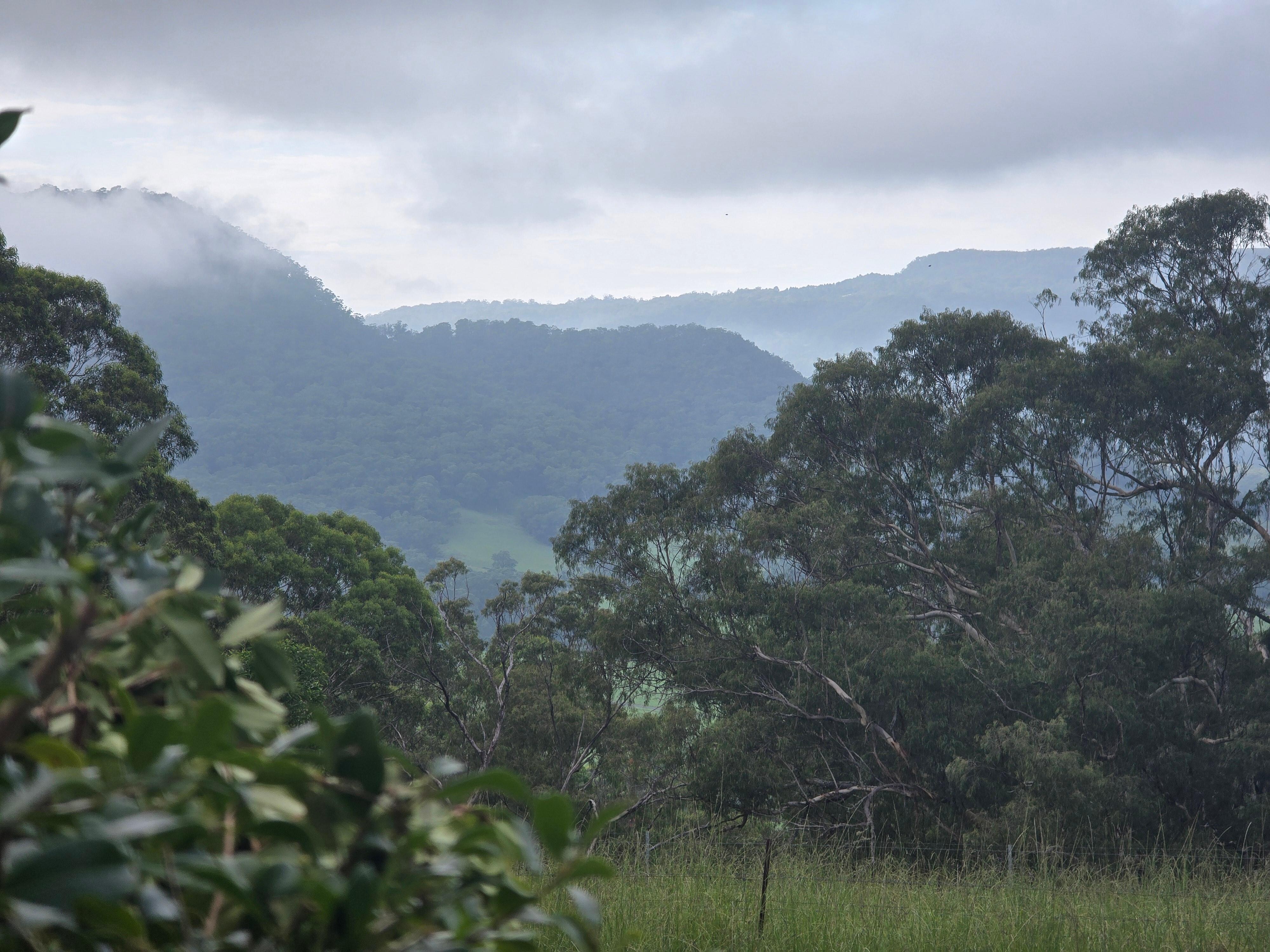 View from the cottage