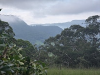 View from the cottage