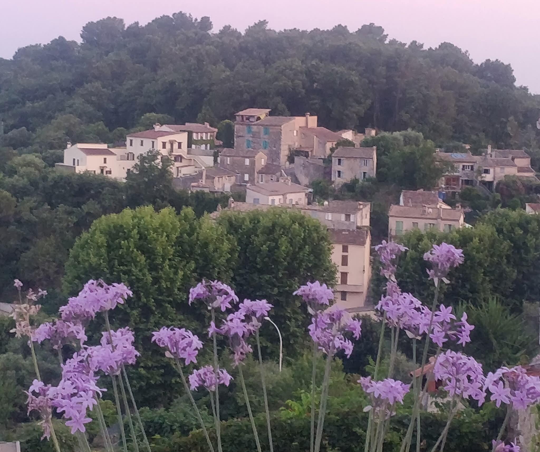 View of the town.