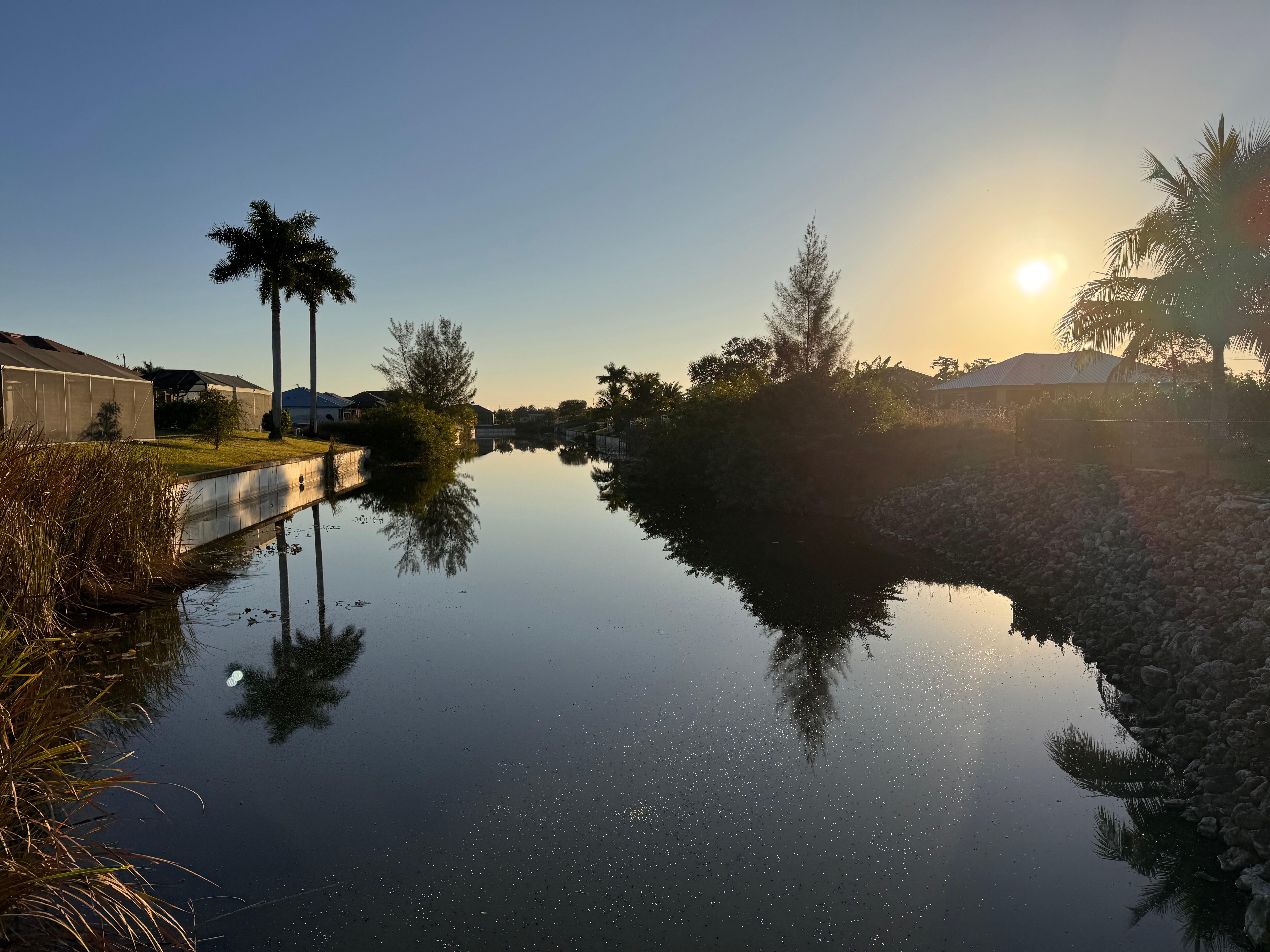 Morning walk around the neighborhood 