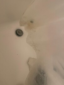 Molded and dirty shower curtain