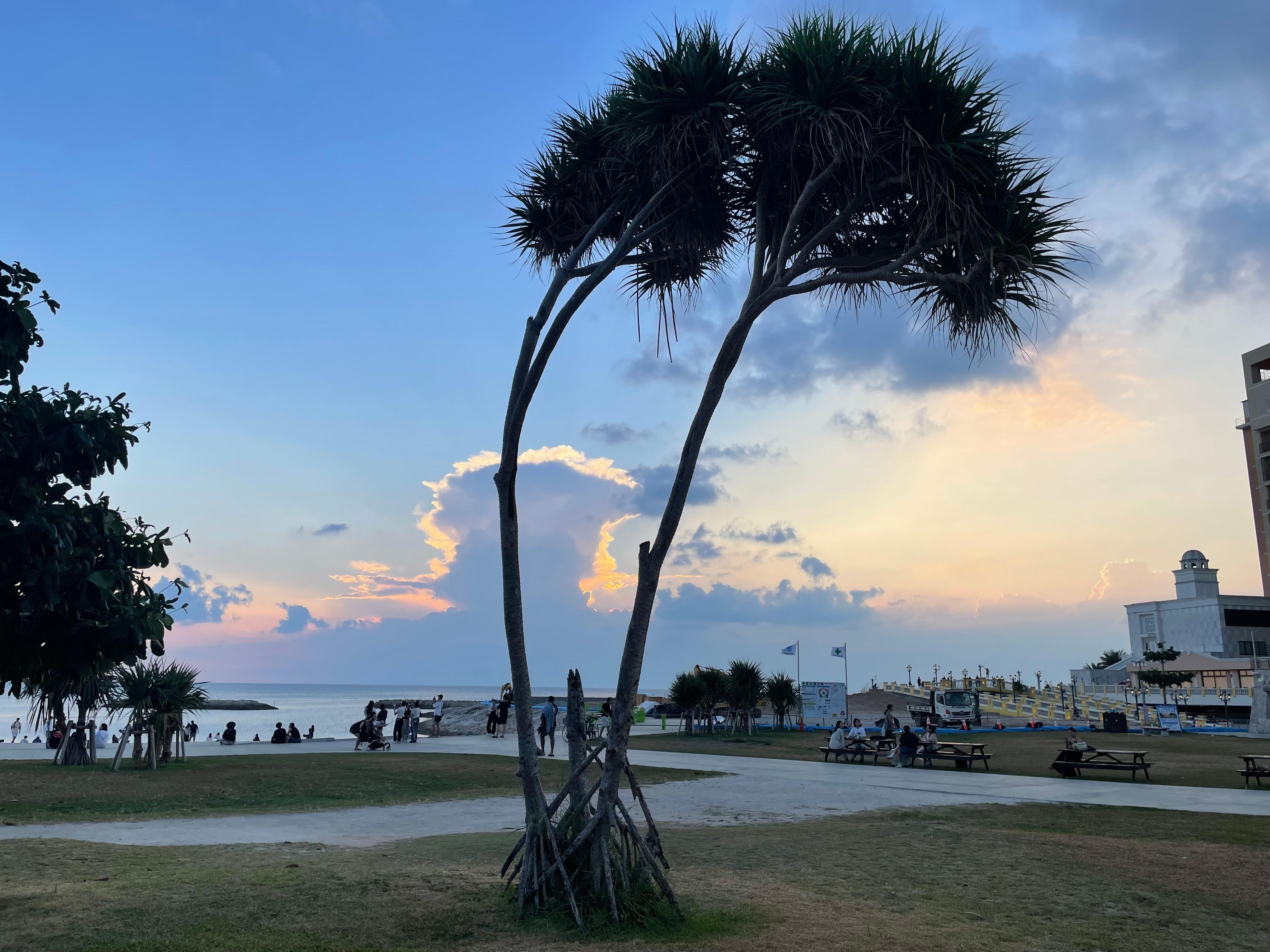 Out our back door!🩵