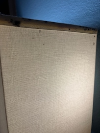 Stains of possible bed bug infestations
