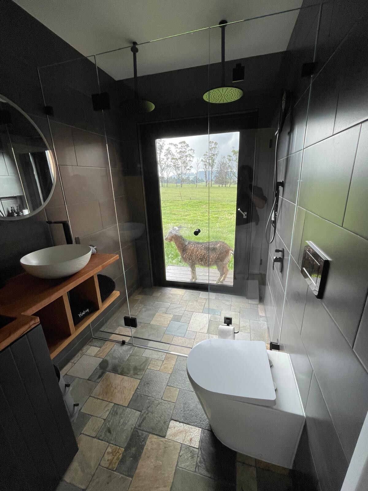Bathroom with bucolic views 