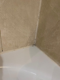 Mould in the shower