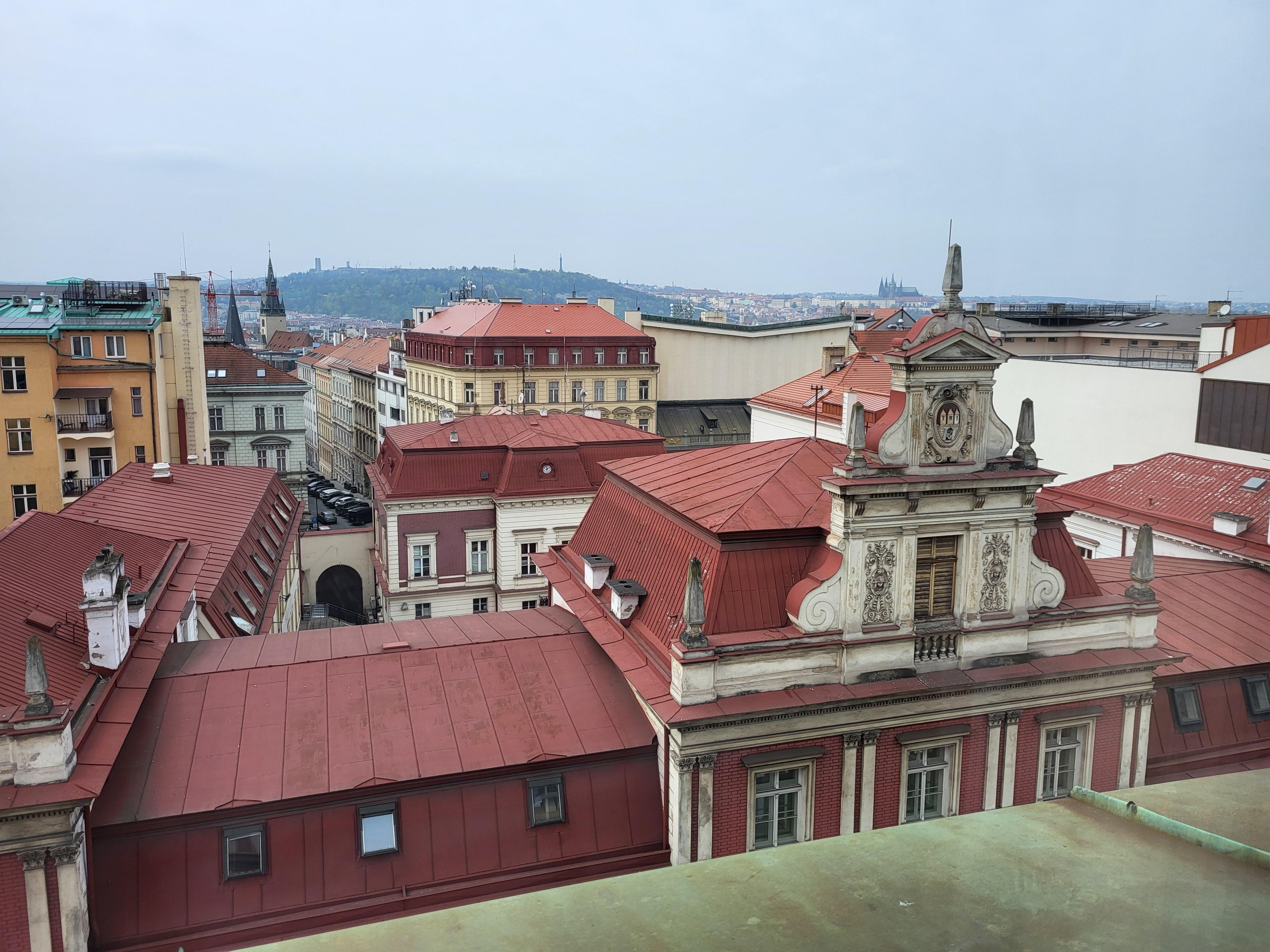 A window view at Luma Terra.