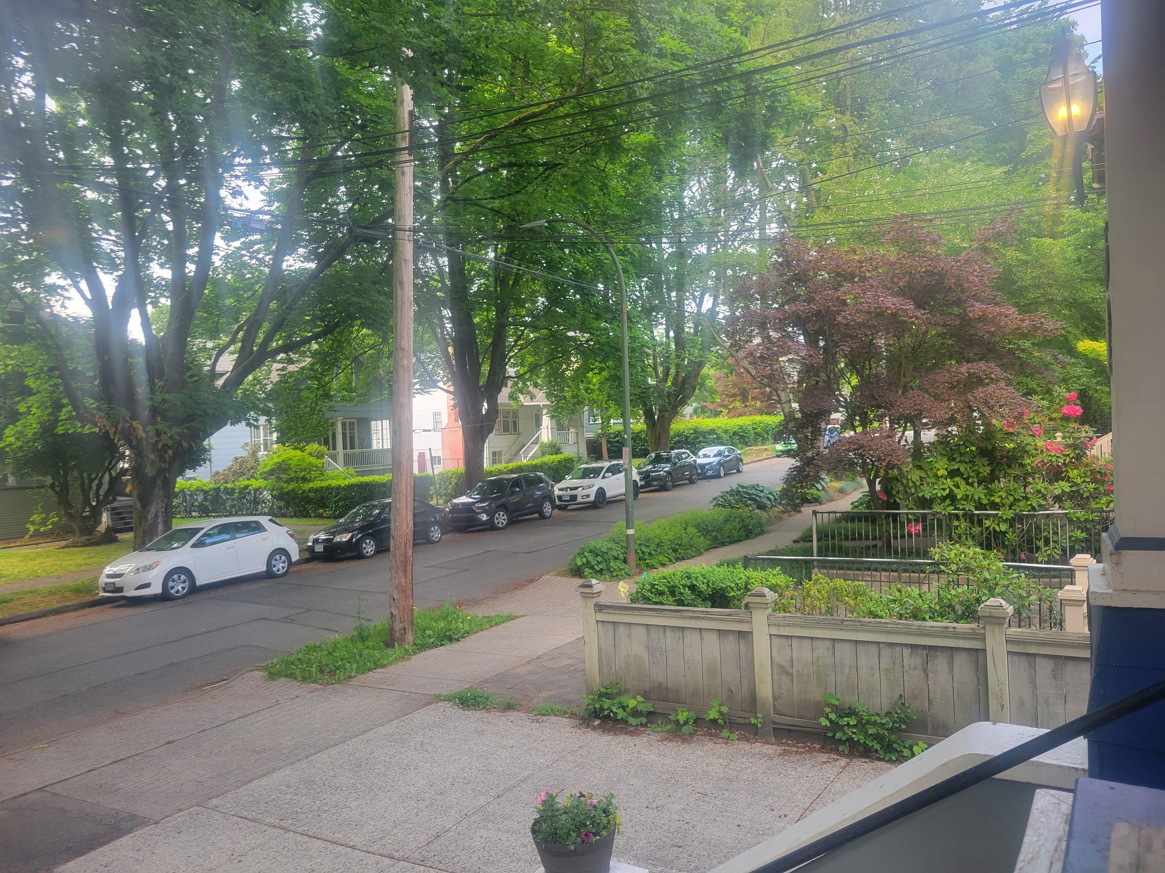 View from the front porch sitting area.