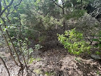 This is right behind the house where there is supposed to be a river.