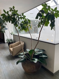 Facility hallway nice and clean