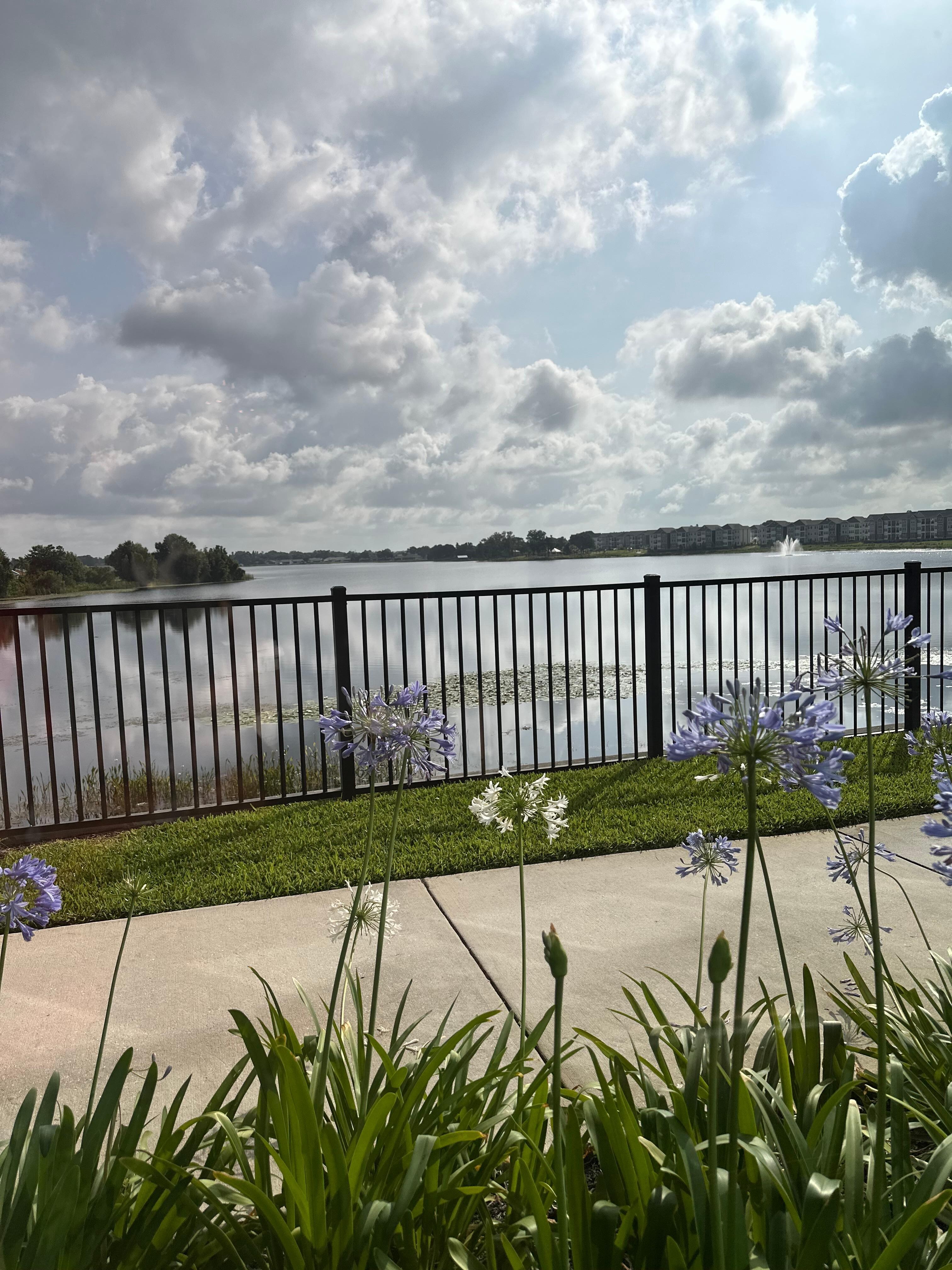 Lake views