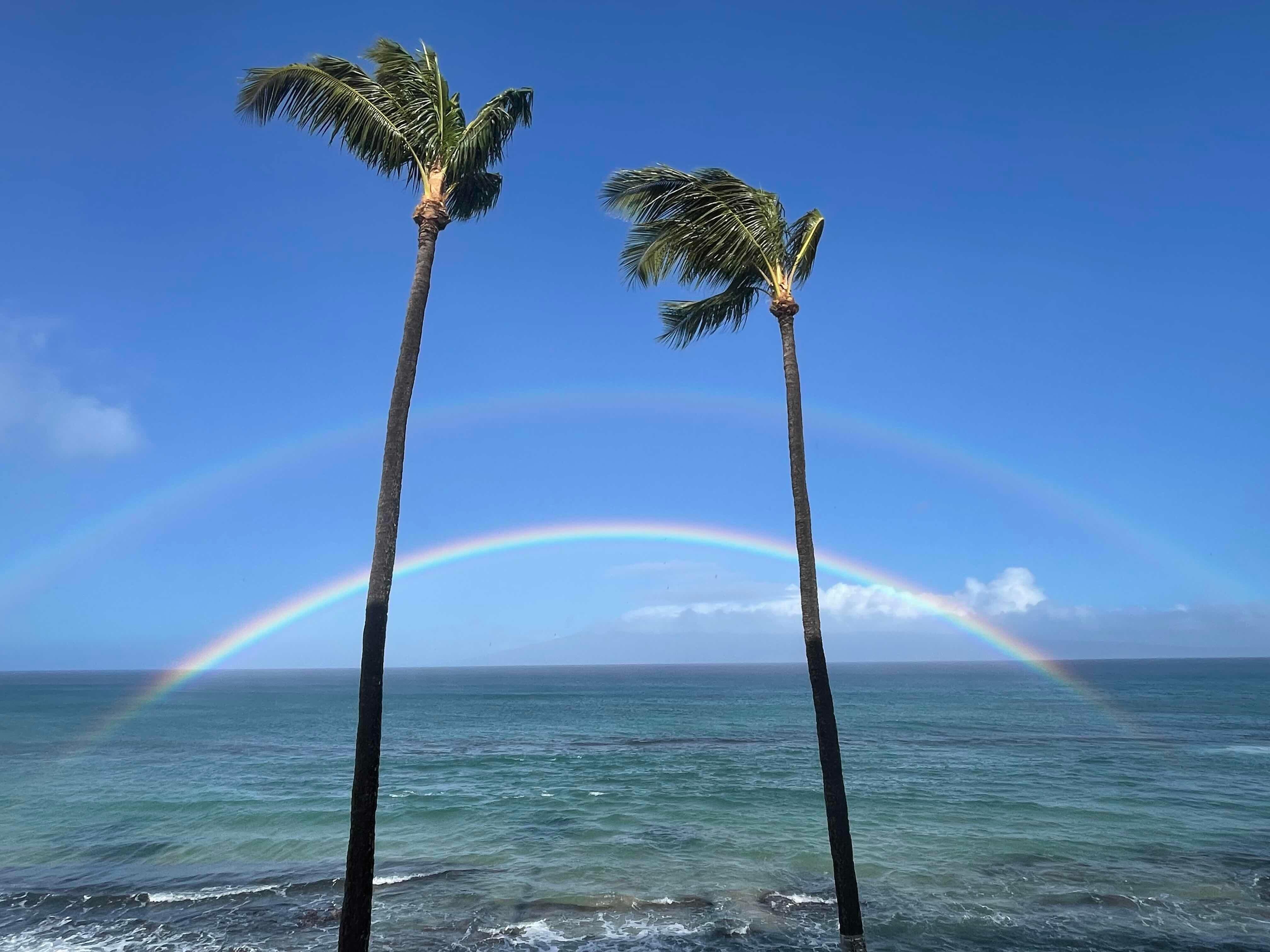 An everyday occurrence on the Lanai...