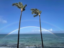 An everyday occurrence on the Lanai...