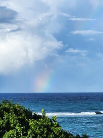 View from the gallery