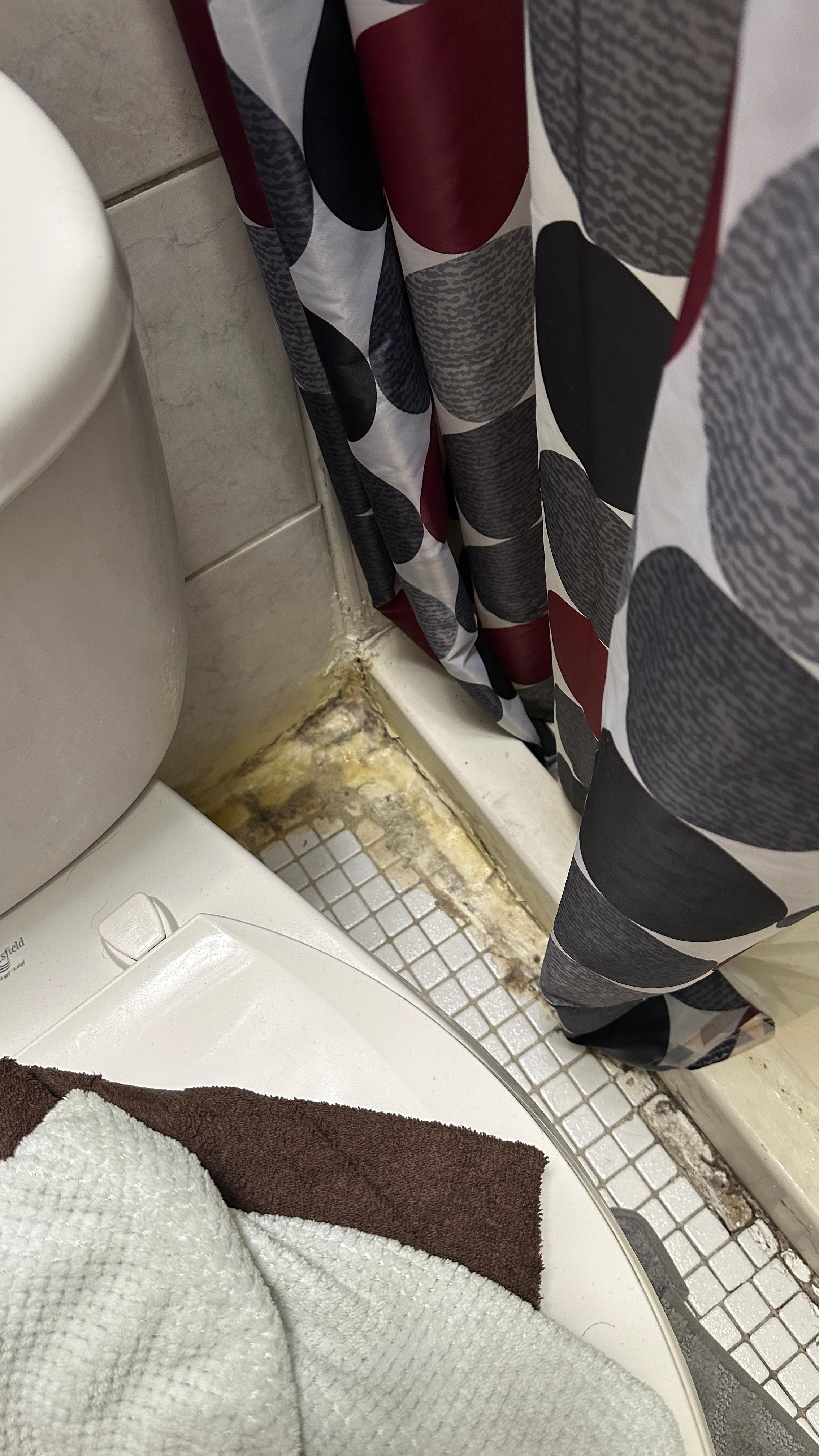 Bathroom floor