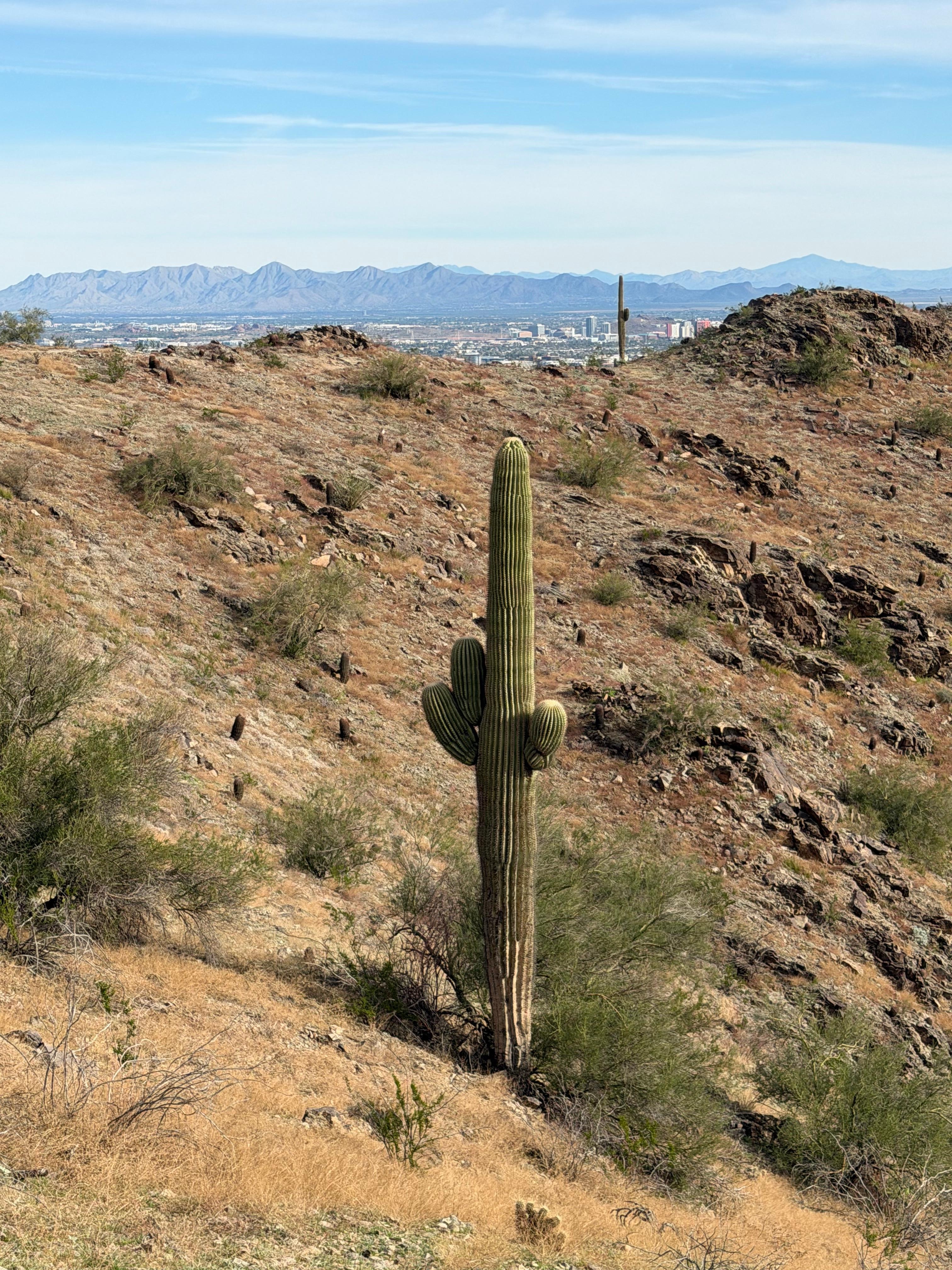 Hiking very close by 