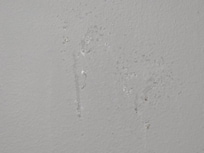 Mold