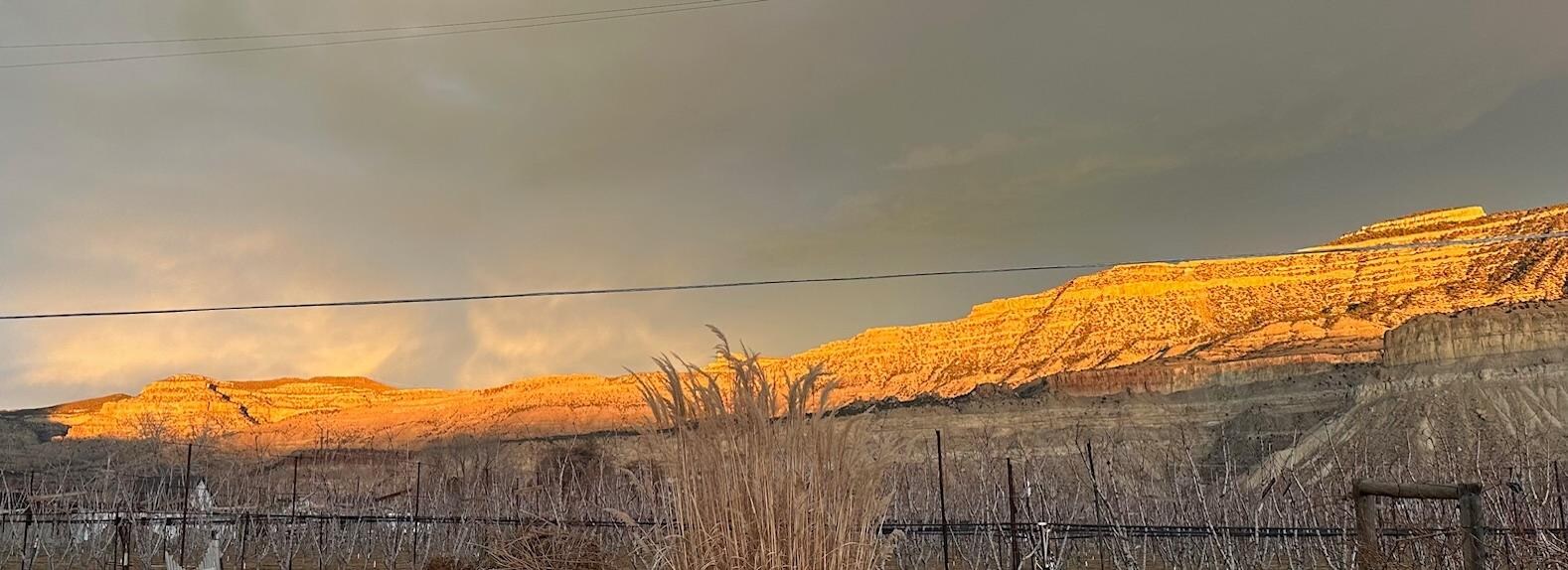 View from the front yard