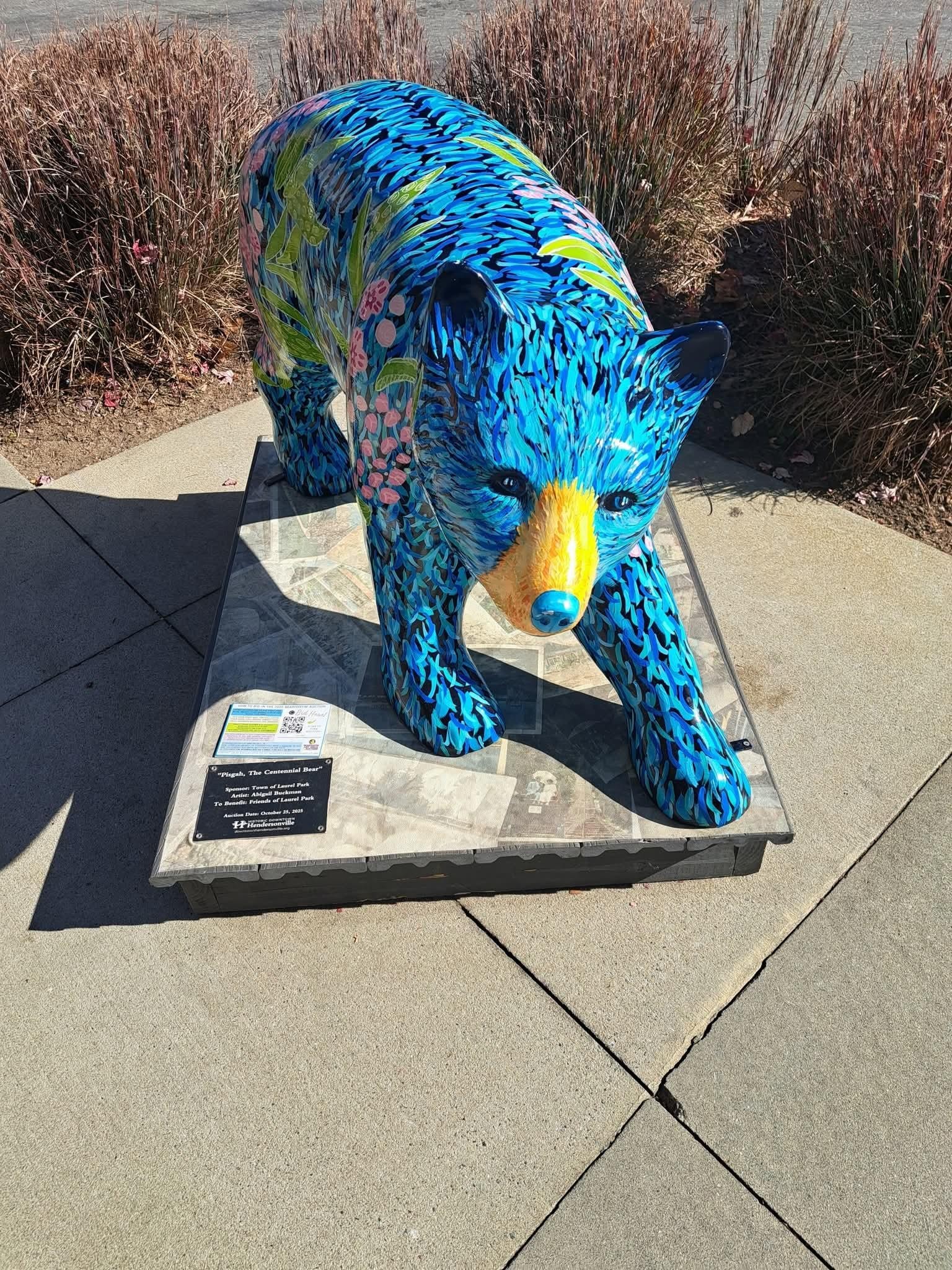 Downtown Hendersonville 