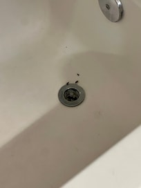 Bugs in the tub.