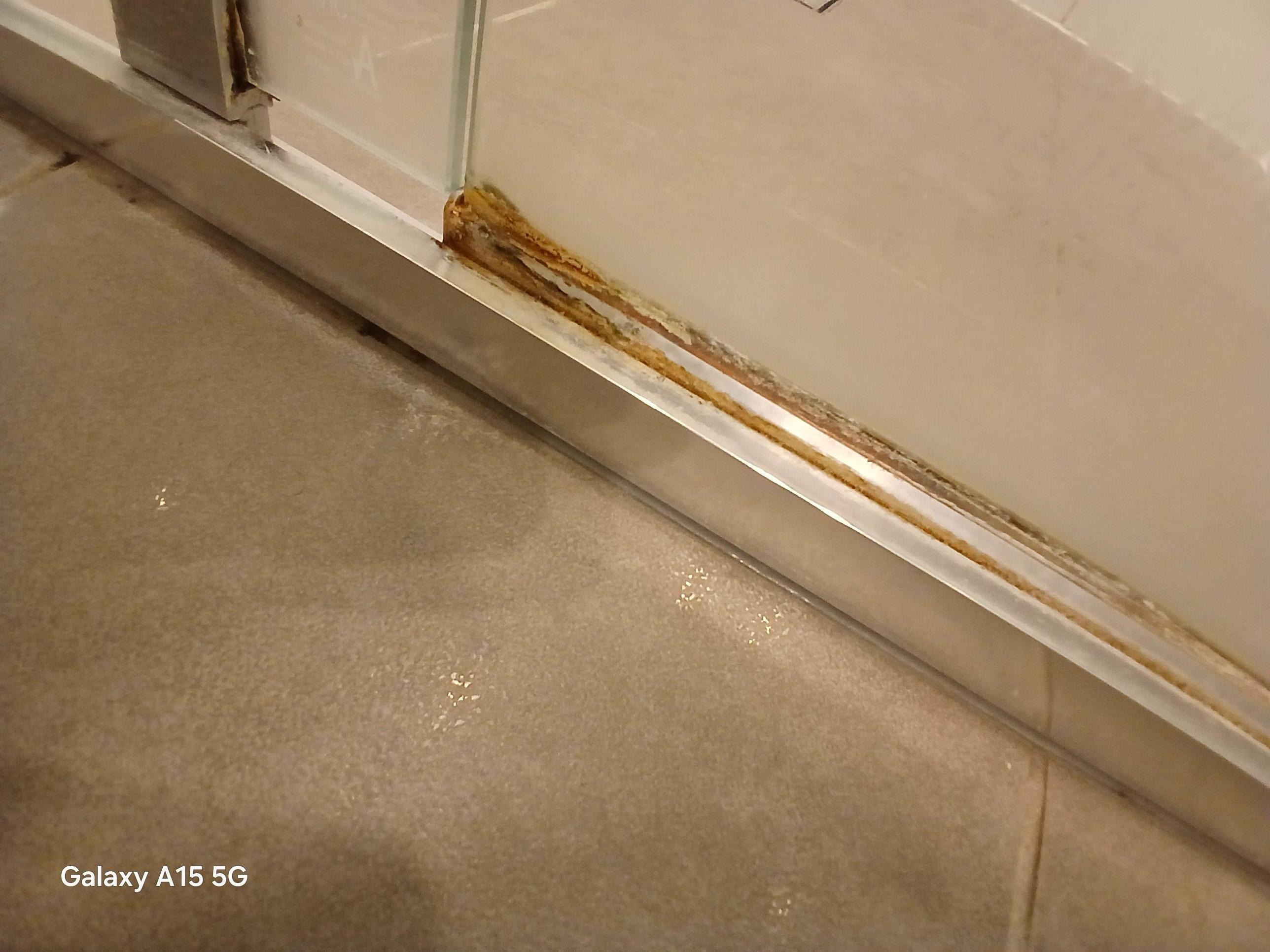 Shower door