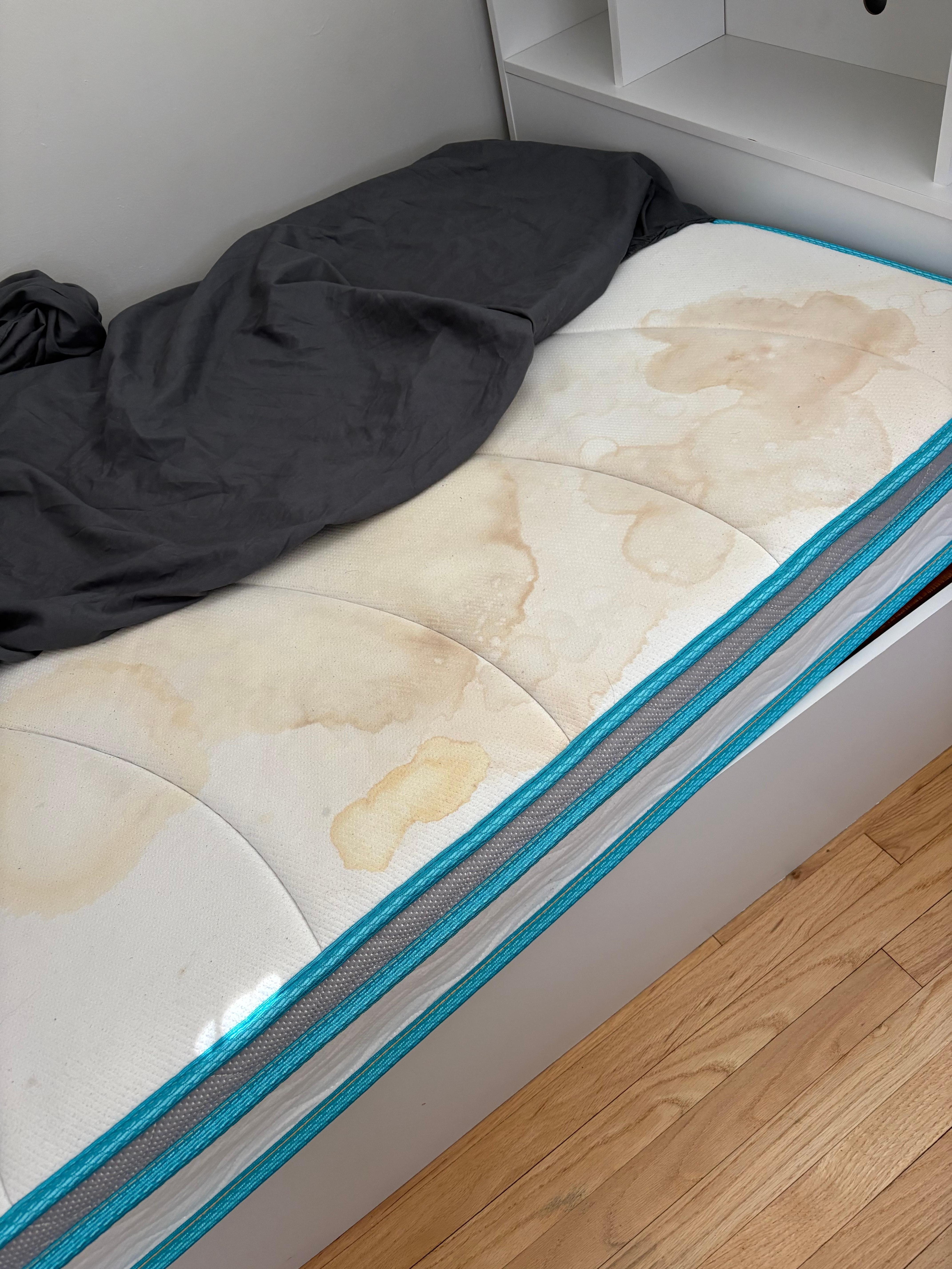 Absolutely filthy mattress.