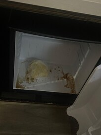 when I came in, I checked everything and the refrigerator looks atrocious