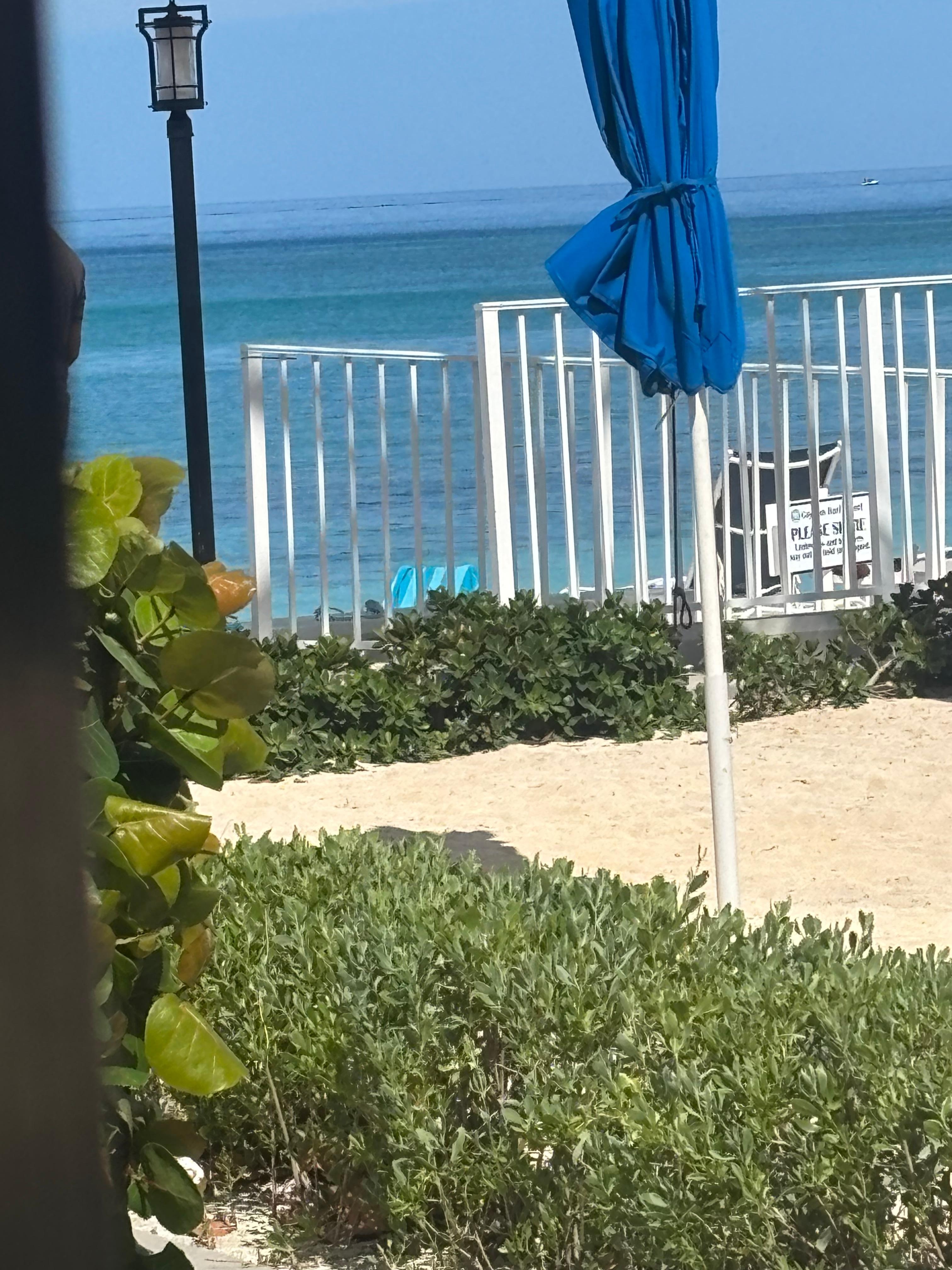 View from screened-in patio (the door frame is the black stripe on the left). Only steps from the beach!!