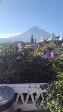 Great views from Terrance where you can relax and drink some coffee, lay at the hammock or do yoga