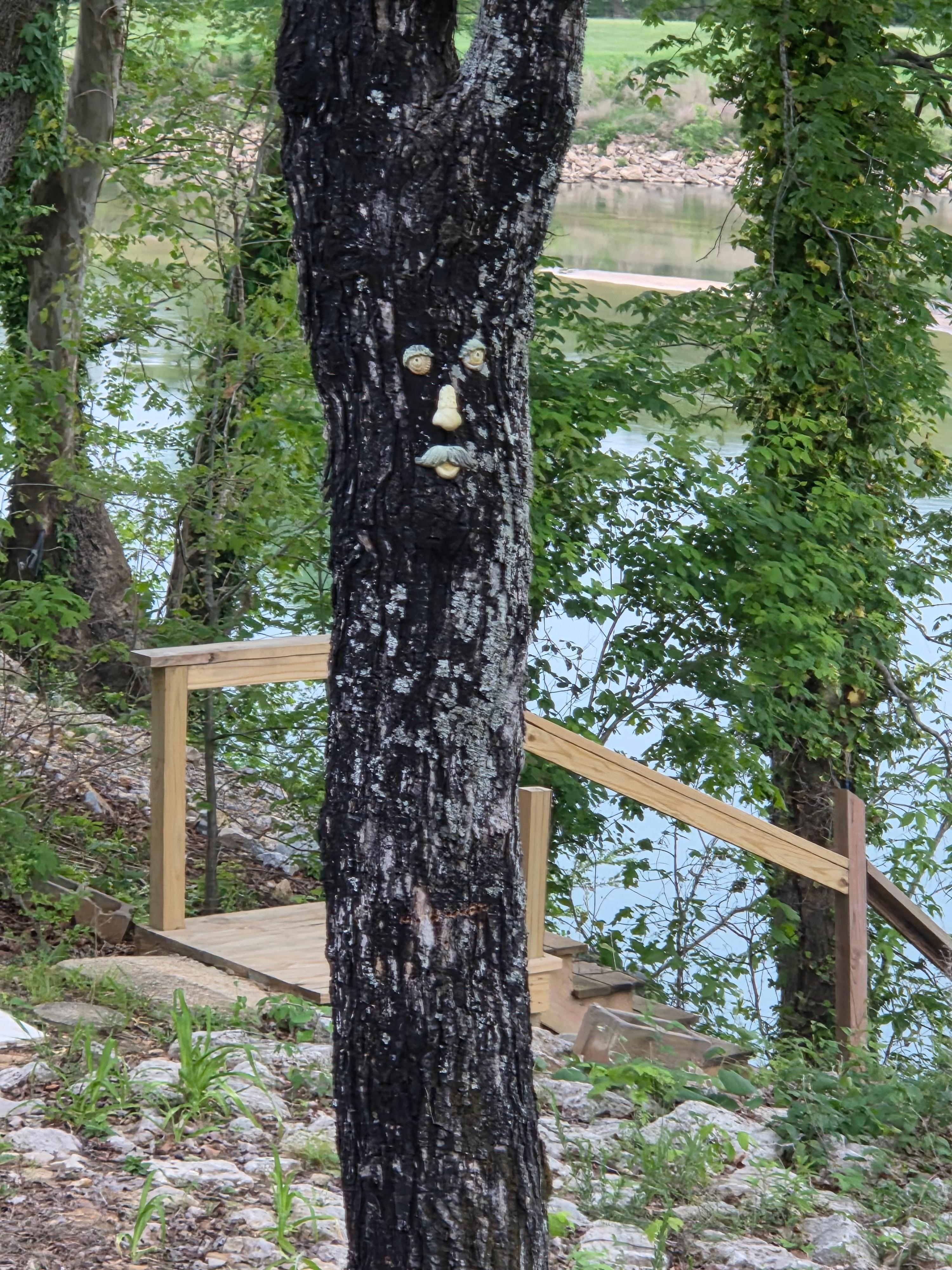 Loved the tree face!!
