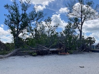 Walking the beach has some remnants from the hurricane.