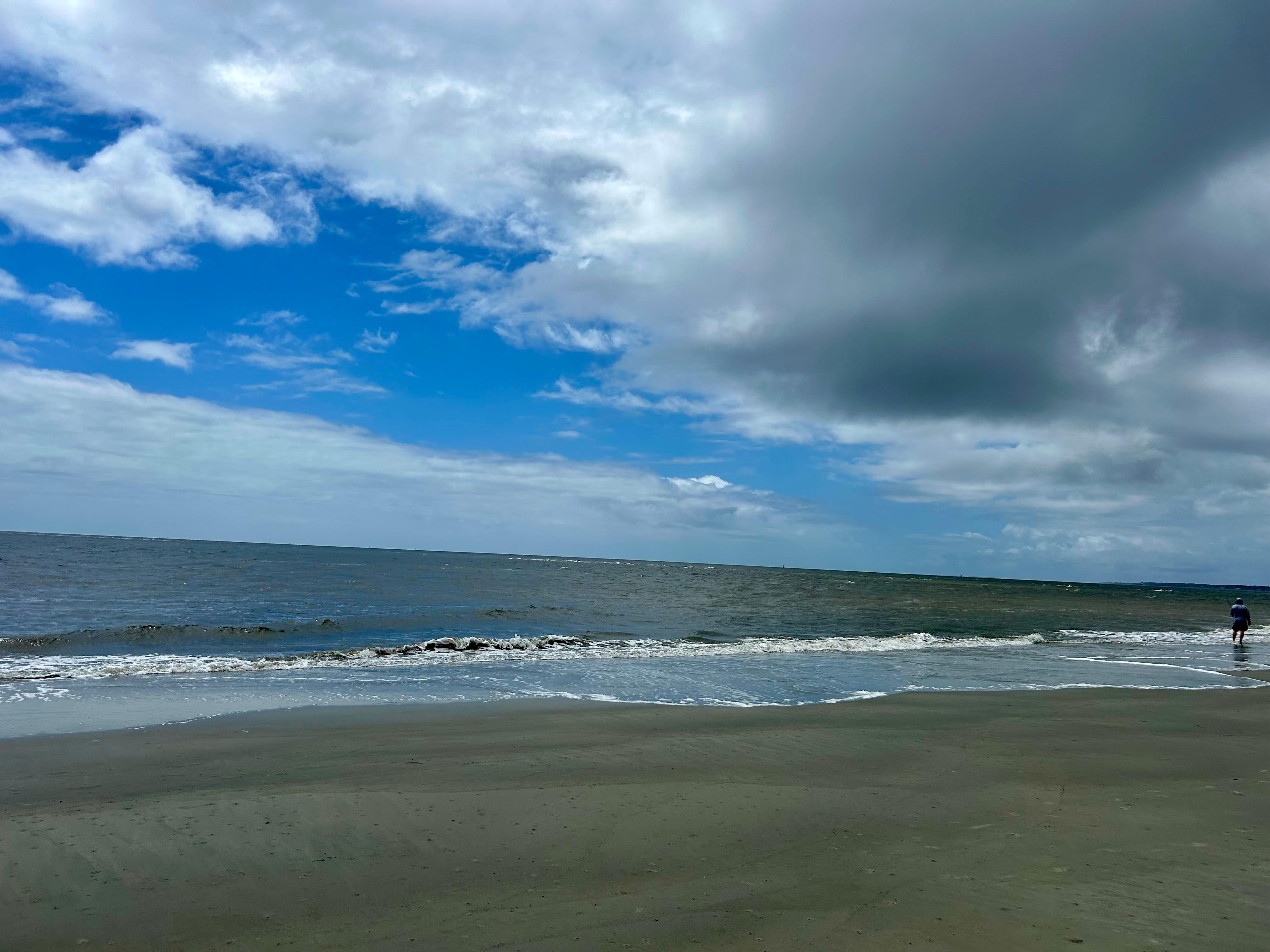 Dog friendly beach 