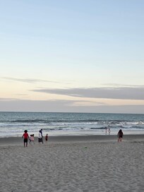 Low tide at the beach.